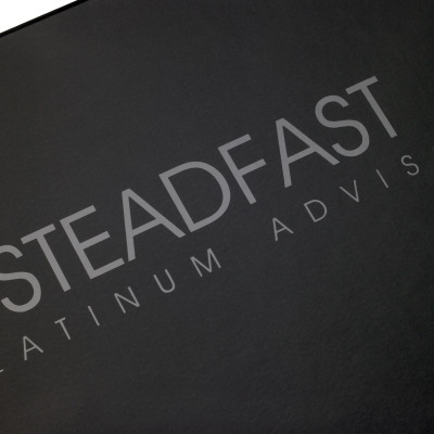 Steadfast__box_web